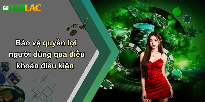 Bảo vệ quyền lợi người dùng qua điều khoản điều kiện