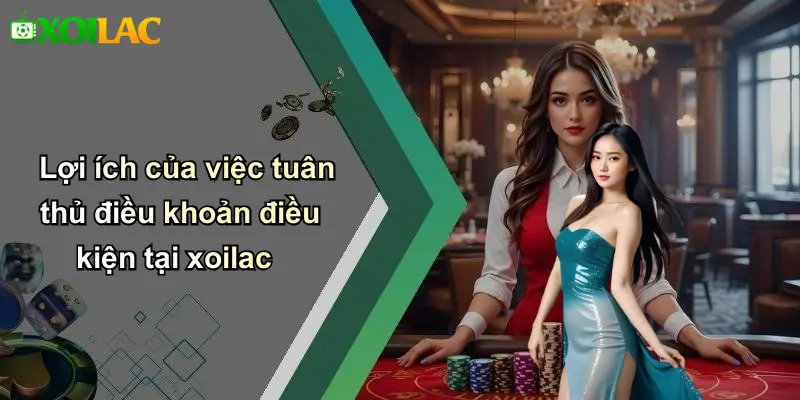 Lợi ích của việc tuân thủ điều khoản điều kiện tại xoilac