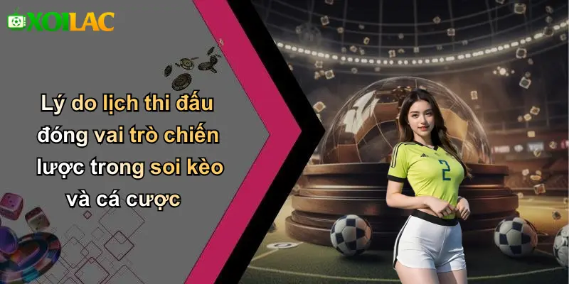 Lý do lịch thi đấu đóng vai trò chiến lược trong soi kèo và cá cược