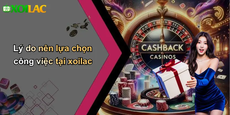 Lý do nên lựa chọn công việc tại xoilac