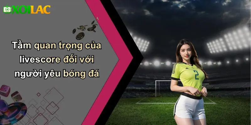 Tầm quan trọng của livescore đối với người yêu bóng đá
