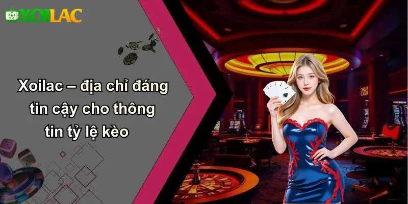 Xoilac – địa chỉ đáng tin cậy cho thông tin tỷ lệ kèo