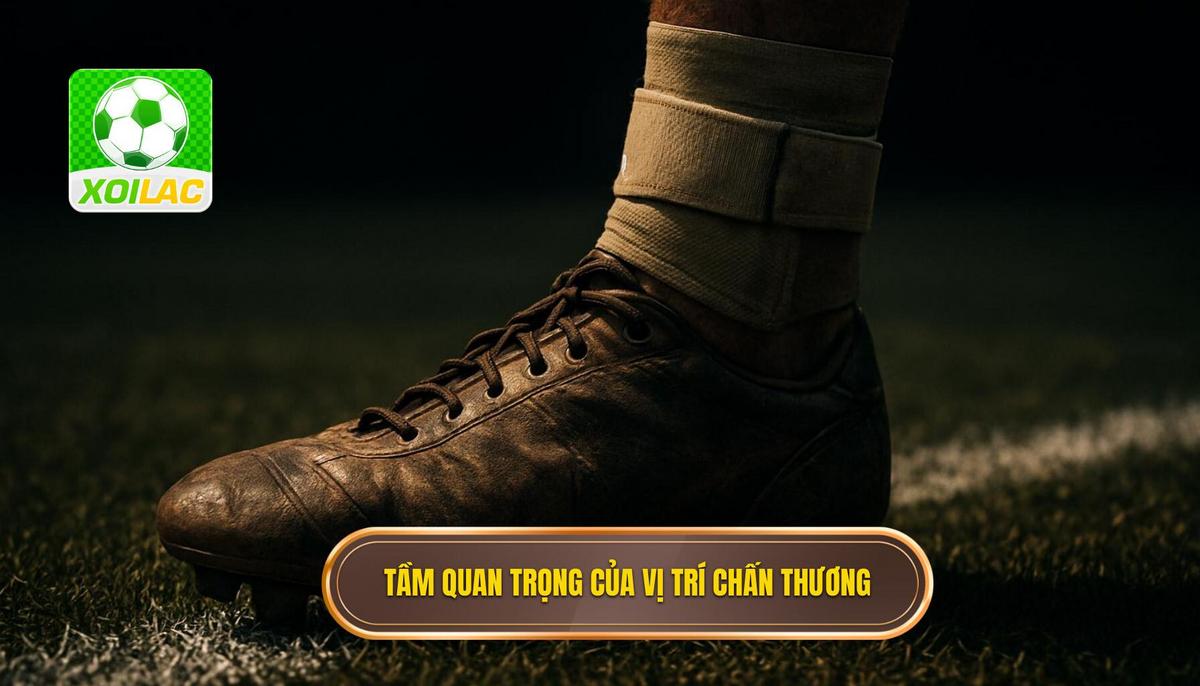 Phân Tích Tầm Quan Trọng Của Vị Trí Bị Chấn Thương