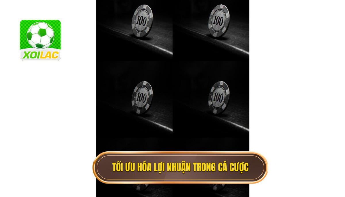 Phân tích bản chất của việc tối ưu hóa lợi nhuận trong cá cược