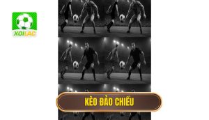 thumb - kèo đảo chiều