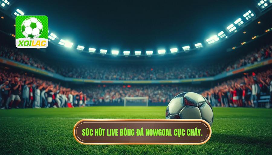 Sức hút live bóng đá Nowgoal cực cháy